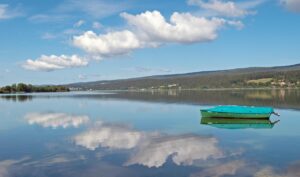 らでぃっしゅぼーやを利用した一人暮らしの食費節約術は？