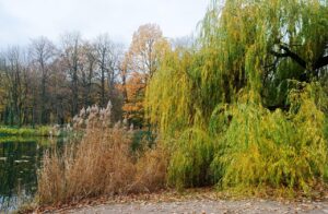 鉄分補給に最適な食事は何ですか？