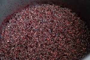 玄米ごはんの冷凍宅配サービスはどこが人気？