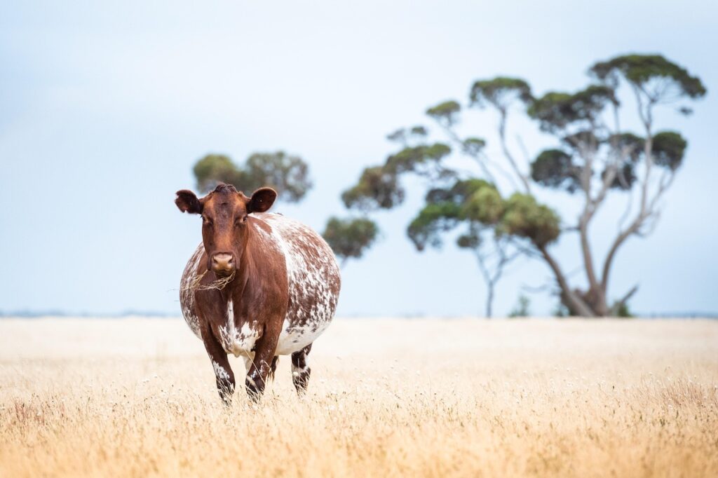 育休中におすすめの食生活改善方法は？