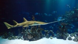 仕事帰りにぴったりな低カロリーごはん便のおすすめは？