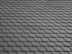 定期便で安い冷凍弁当は女性におすすめなのはどれ？